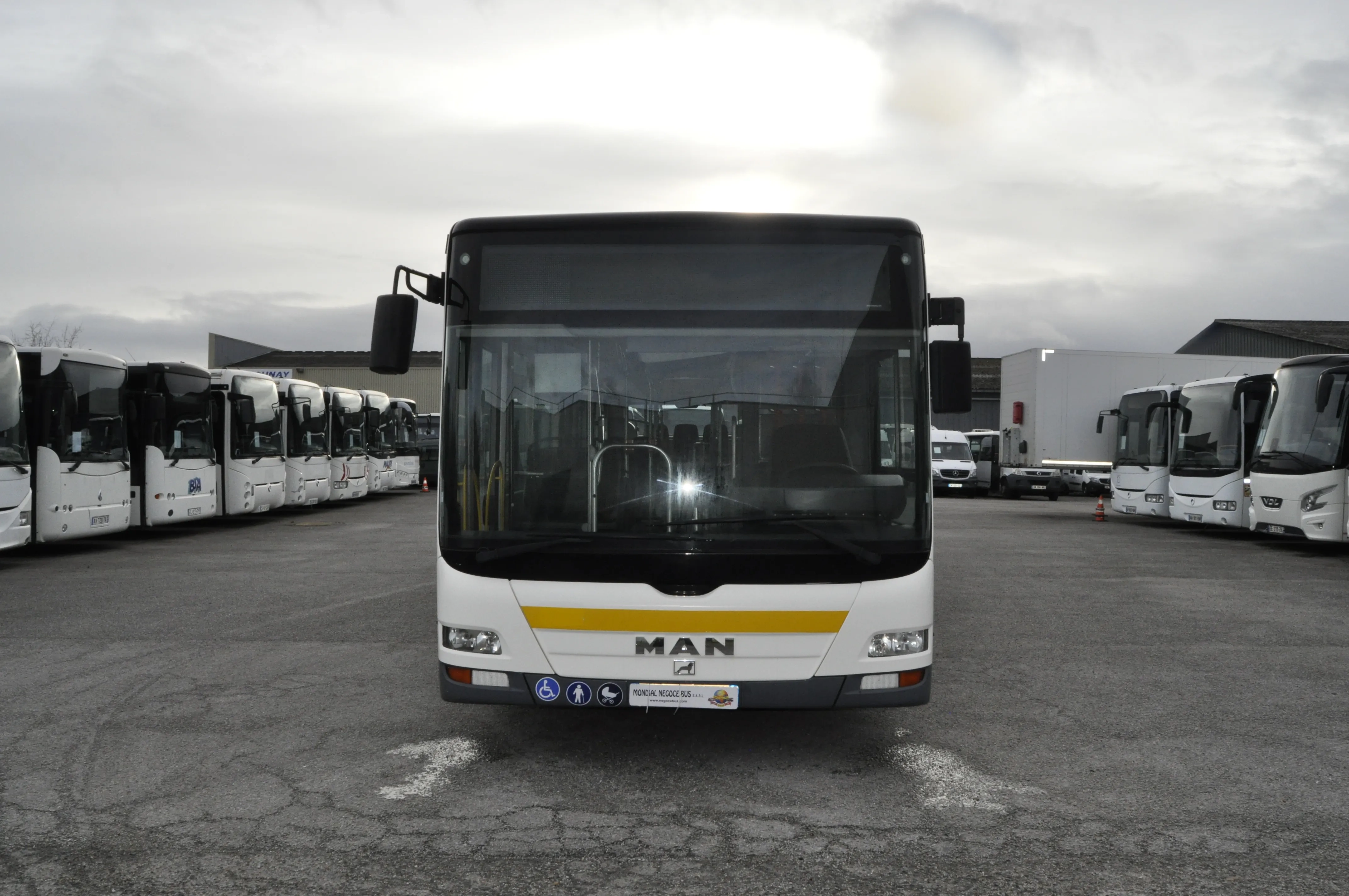 MAN MAN LION’S CITY